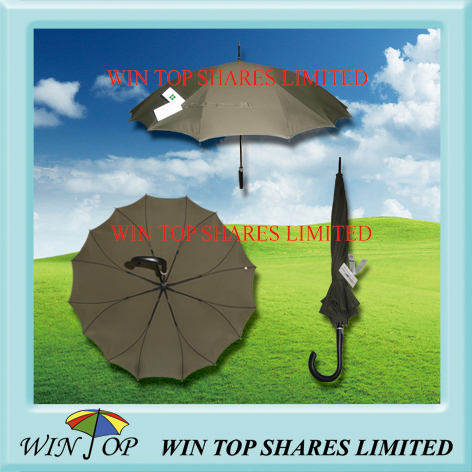 Special design patent umbrella