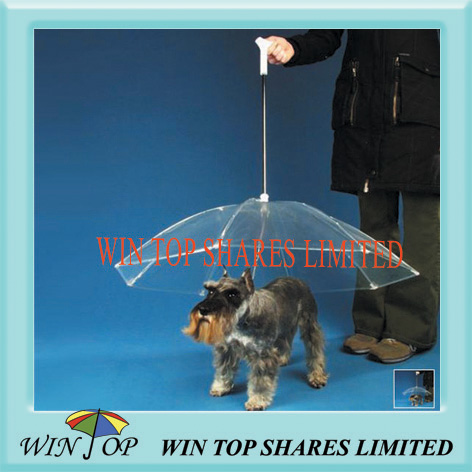 Stock dog umbrella available